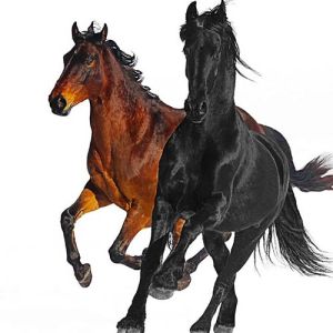 Old Town Road (Remix)