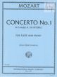 Concerto G-major KV 313