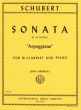 Schubert Sonate Arpeggione a-minor D.821 Clarinet and Piano (transcr,. by Jerry Kirkbride)