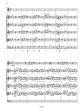 Fiorenza Konzert c-moll für Altblockflöte-Streicher-Basso cont.) Partitur