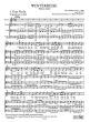 Schubert Winterreise für mittlere Stimme und Streichtrio Partitur (arr. Shane Woodborne)