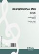 Bach Trio Sonata E-Minor BWV 528 for Piano Solo (Arranged by August Stradal)