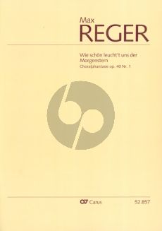 Reger Choralphantasie "Wie schon leucht't uns der Morgenstern" Op. 40 No. 1 Orgel