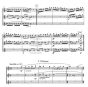 Cesarini Flute Trio Op.24 for 3 Flutes