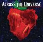 I've Just Seen A Face (from Across The Universe)