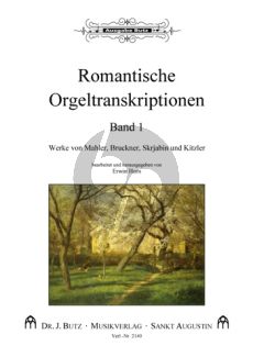 Romantische Orgeltranskriptionen Band 1 (Erwin Horn)