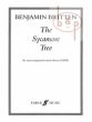 The Sycamore Tree