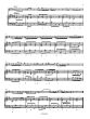 Handel Hallenser Sonate No. 3 B-minor HWV 376 Flute and Bc (Book with Audio online) (Dowani)