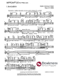 Redel Impromptus Op. 41 Flöte solo