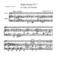 Seitz Concerto D-major Op.22 Violin and Piano (1st Position)