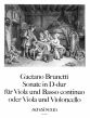 Brunetti Sonate D-dur Viola und Basso Continuo oder Viola und Violoncello (Heruasgegeben von Ulrich Druner) (Continuo Willy Hess)