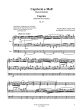 Callaerts Capriccio e-Moll Op. 33 für Orgel solo (Otto Depenheuer)