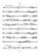 Brandl Sinfonie concertante B-Dur 2 Fagotte und Orchester (Klavierauszug) (Jean-Christophe Dassonville)