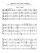 Schumann 13 Miniaturen 4 Blockflöten (SATB) (Part./Stimmen) (arr. Hermann-Josef Wilbert)