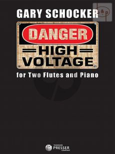 Danger: High Voltage