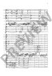 Sibelius Concerto for Violin and Orchestra D minor Opus 47 Study Score