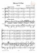 Messe G-dur D.167 STB soli-Choir-Orch.) (Vocal Score)