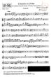 Concerto Ex D-major (2 Horns- 2 Vi.-Va.-Basso)