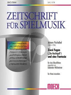 Pachelbel 2 Fugen und eine Fantasia 3 Blockfloten (SAT/STB) (Partitur/Stimmen) (Gabriele Hilsheimer)