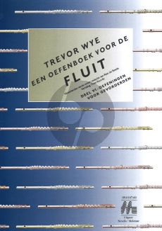 Wye Oefenboek voor de Fluit Vol.6 Oefeningen voor Gevorderden