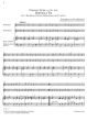 Turini Sinfonia e Sonata 2 Violins or Descant Recorders and BC (Score/Parts) (edited by Franz Müller-Busch)