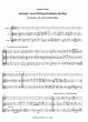 Wehlte Advents- und Weihnachtslieder-Medley (3 Blockflöten (SAB)) (Part./Stimmen)