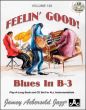 Jazz Improvisation Vol.120 (Feelin' Good! Blues in B- 3)