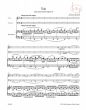 Trio (after the Sextet Op.18) (Vi.-Vc.-piano) (Score/Parts) (arr. by Theodor Kirchner)