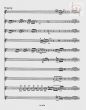 Concerto G-major KV 313 (285c) Flute and Orchestra