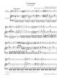 Mozart Concerto D-major KV 314 (285d) Flute-Orchestra (piano red.) (edited by R.Brown & K.Hunteler)