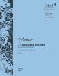 Zelenka Missa Omnium Sanctorum a-minor ZWV 21 (Soli-Choir-Orch.) (Full Score) (lat.) (edited by Wolfgang Horn)