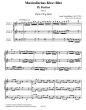 Scheiffelhut Musikalisches Klee=Blat Op. 5 Partie 7 - 9 Partitur und Stimmen (für 2 Violinen (Block-/Querflöten, Oboen) und Violone (Fagott)) (Herausgegeben von Gunther Holzhausen)