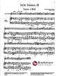 Handel 6 Sonaten Vol.3 No.5-6 HWV 367 und HWV 367A (Altblockflote und Basso Continuo)