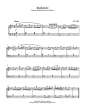 Badinerie (from Orchestral Suite No. 2 in B Minor)