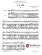 Saint-Saens Sonate Op. 167 Klarinette und Klavier (Rainer Zimmermann)