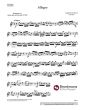 Fiocco Allegro Violin-Piano (Editors Arthur Bent and Normann O'Neill)