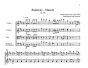 Strauss Radetzky Marsch Op.228 fur 2 Violinen, Viola und Violoncello oder Kontrabass Partitur und Stimmen (Herausgeber / Bearbeiter Peter Totzauer)