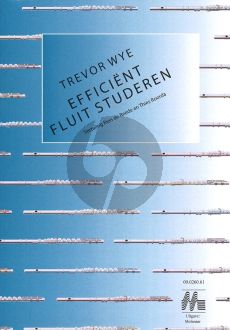 Wye Efficient Fluit Studeren (Bk-Download) (vert.Rien de Reede en Thies Roorda)
